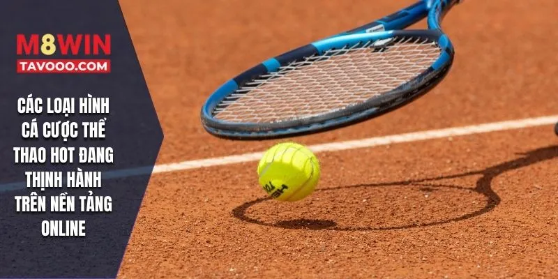 Các loại hình cá cược thể thao HOT đang thịnh hành trên nền tảng online