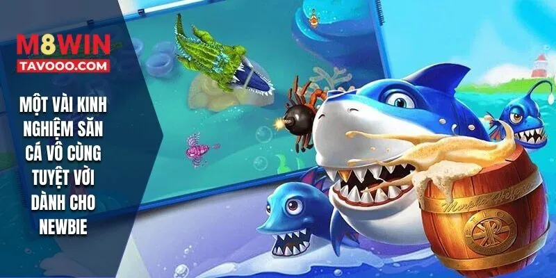 Một vài kinh nghiệm săn cá vô cùng tuyệt vời dành cho newbie