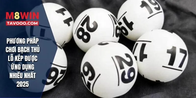 Phương pháp chơi bạch thủ lô kép được ứng dụng nhiều nhất 2025