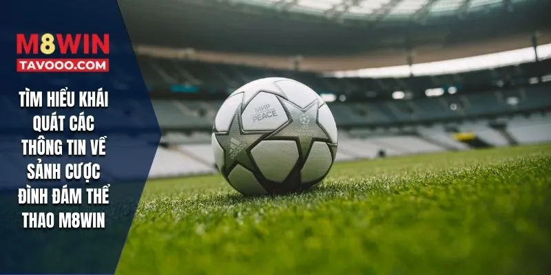 Tìm hiểu khái quát các thông tin về sảnh cược đình đám thể thao M8WIN